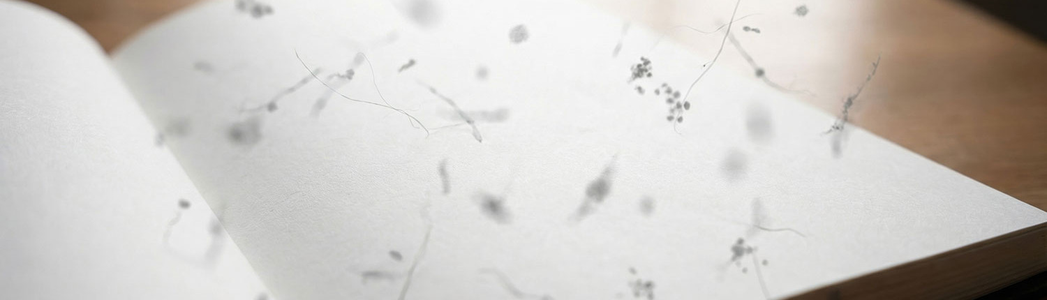 floater-myodesopsia-blick-auf-buch